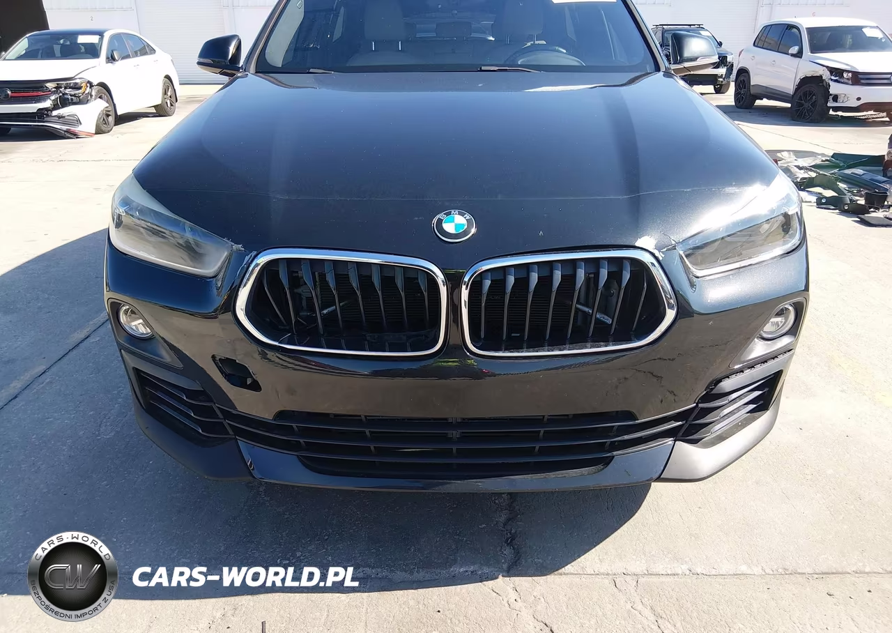 BMW X2 SDRIVE2 VIN:WBXYJ3C31JEB37773 - 13