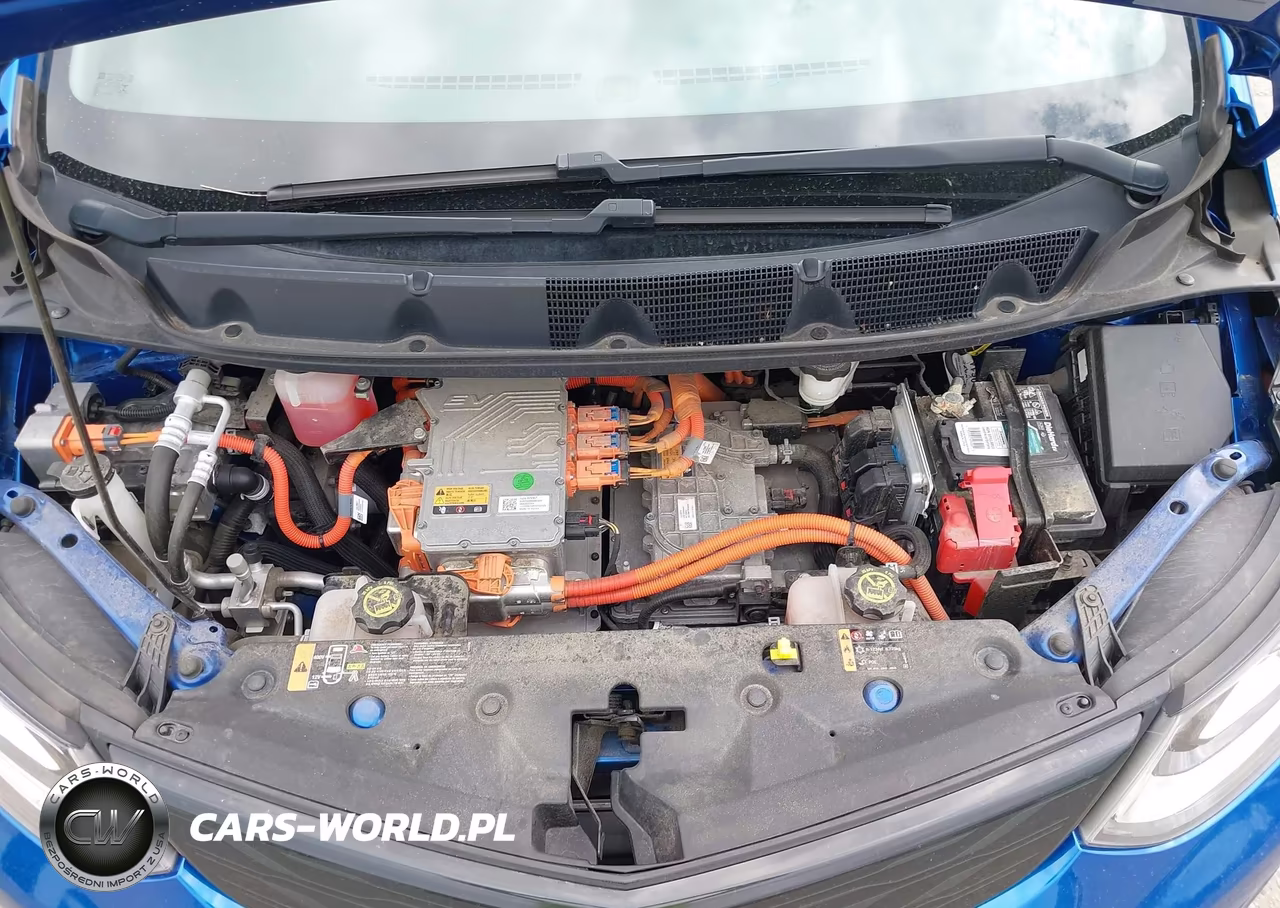 2017 Chevrolet Bolt Ev Lt VIN:1G1FW6S0XH4190752 - 10