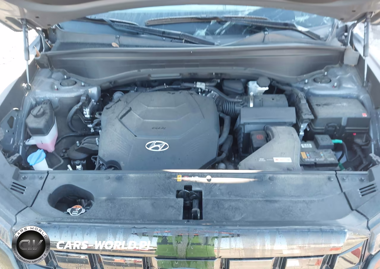 2024 Hyundai Palisade Sel VIN:KM8R44GE6RU752503 - 10