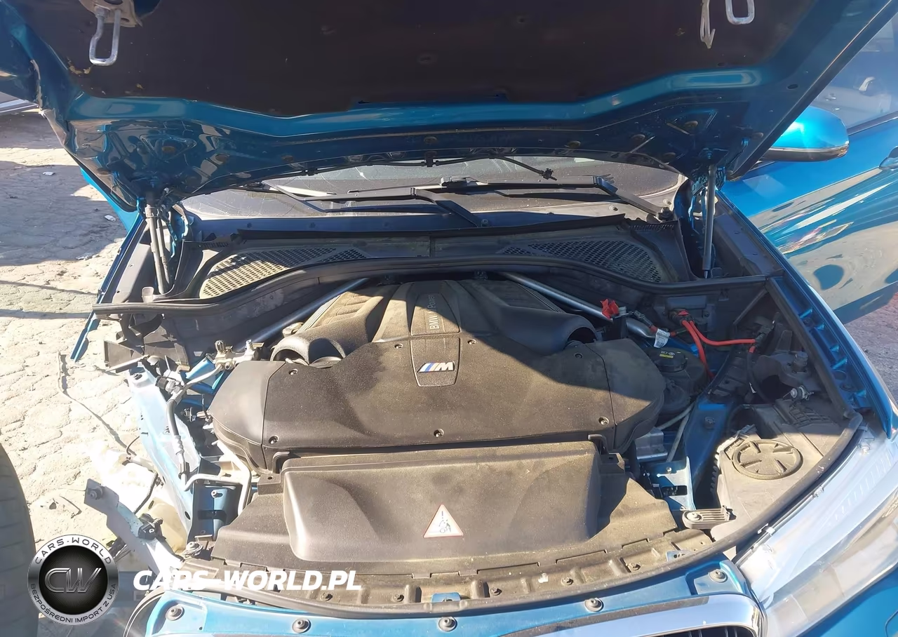 2016 BMW X6 M VIN:5YMKW8C58G0R43882 - 10