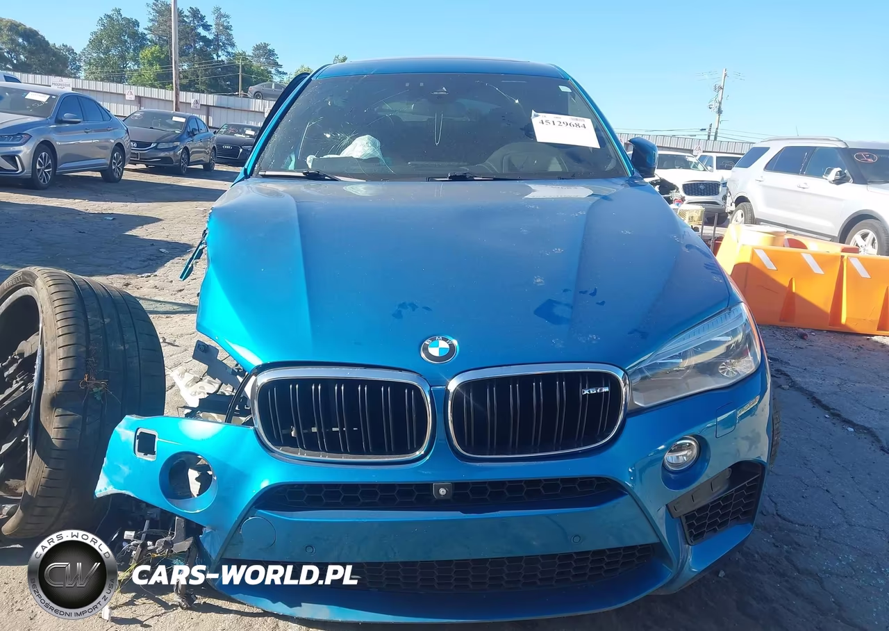 2016 BMW X6 M VIN:5YMKW8C58G0R43882 - 11