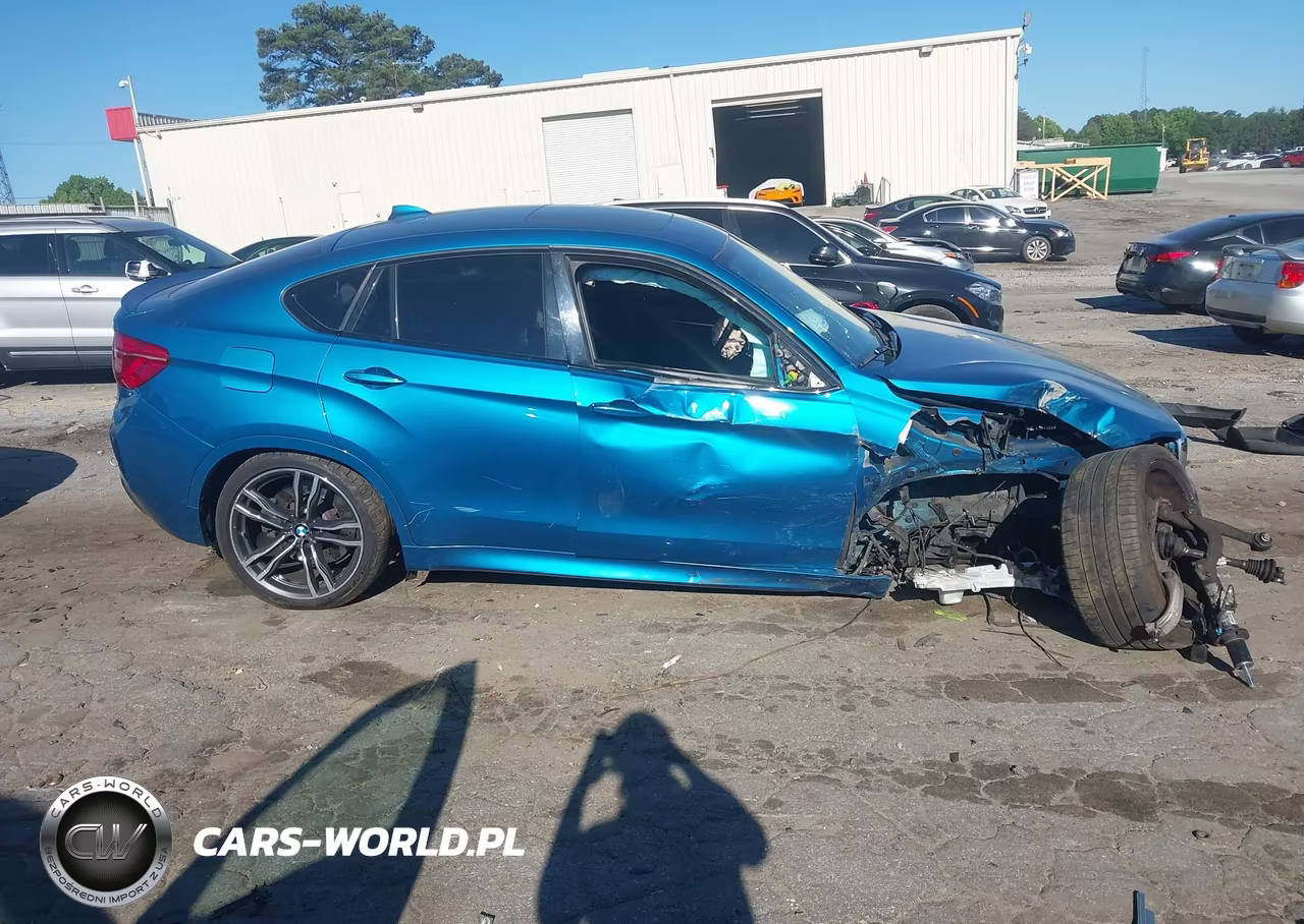 2016 BMW X6 M VIN:5YMKW8C58G0R43882 - 12