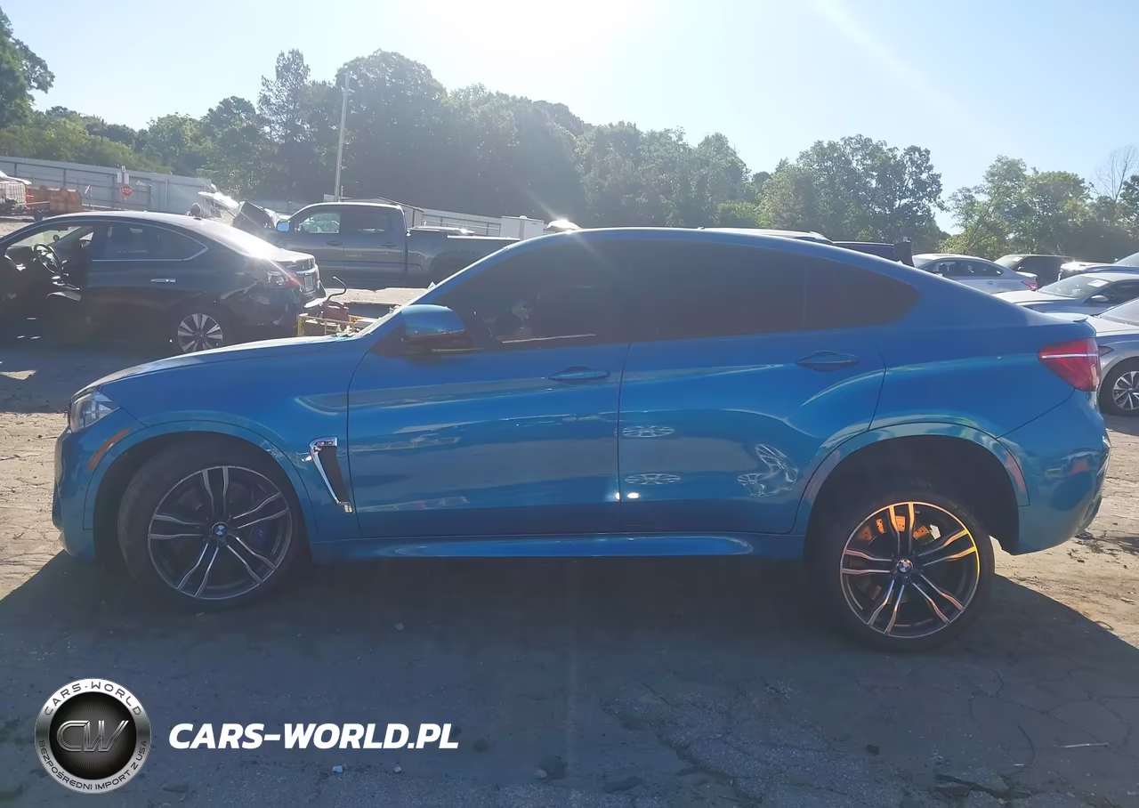 2016 BMW X6 M VIN:5YMKW8C58G0R43882 - 13