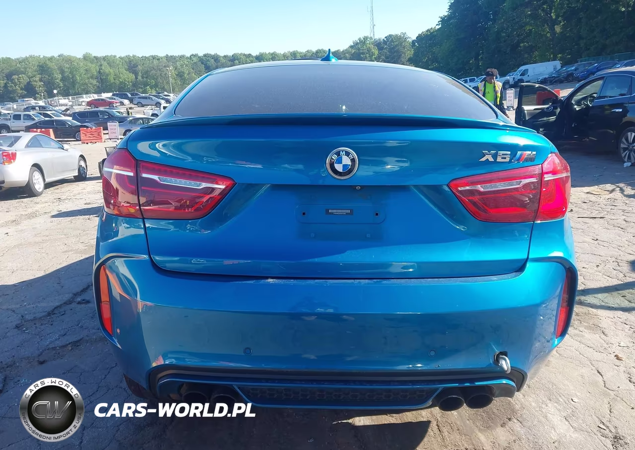 2016 BMW X6 M VIN:5YMKW8C58G0R43882 - 15