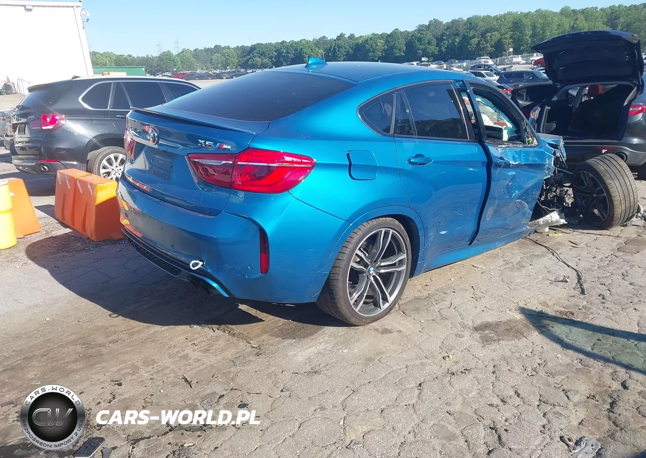 2016 BMW X6 M VIN:5YMKW8C58G0R43882 - 4