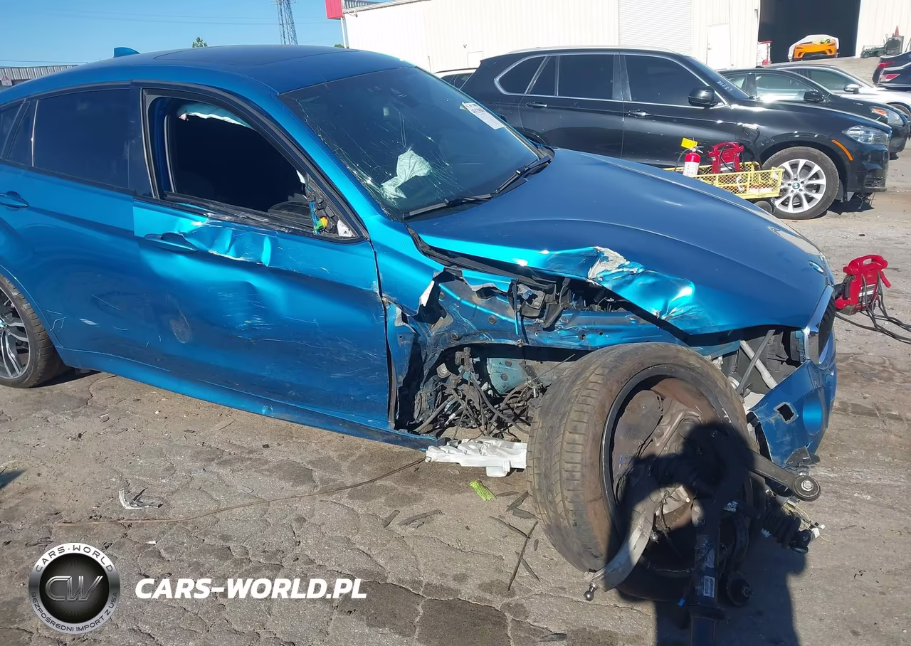 2016 BMW X6 M VIN:5YMKW8C58G0R43882 - 6