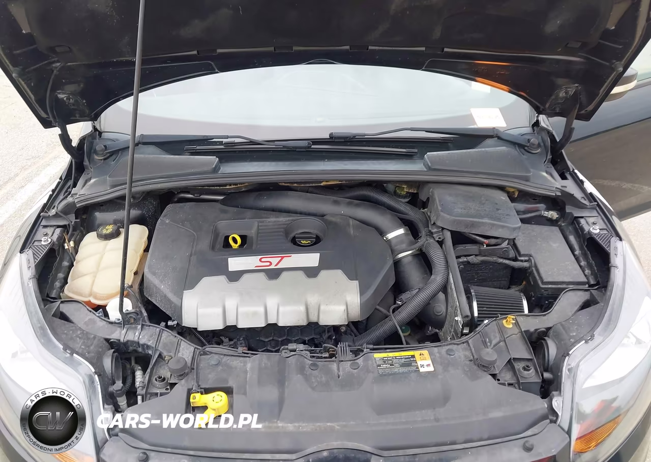2013 Ford Focus St VIN:1FADP3L94DL380270 - 10