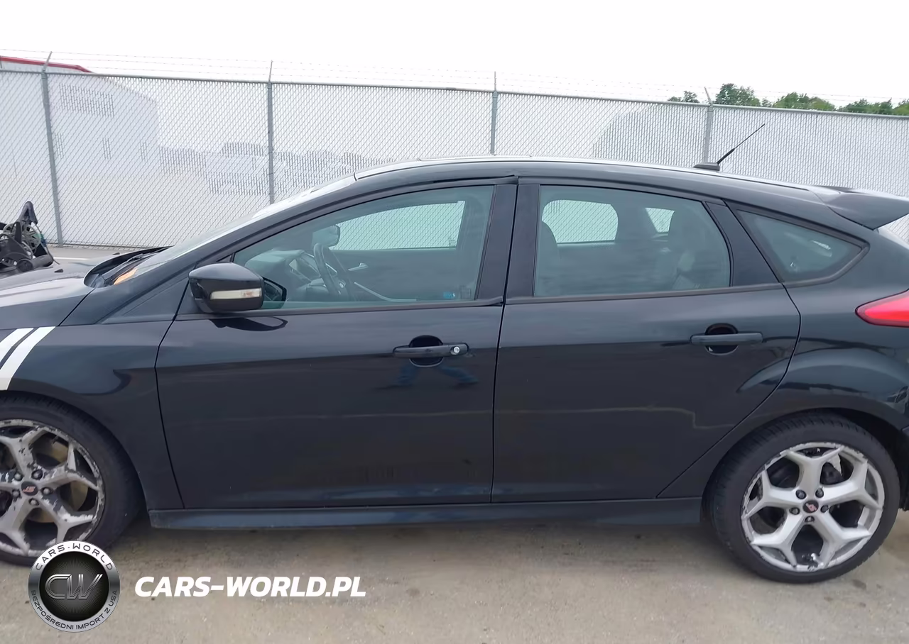 2013 Ford Focus St VIN:1FADP3L94DL380270 - 14