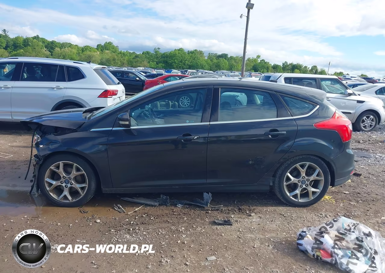 2014 Ford Focus Titanium VIN:1FADP3N25EL136497 - 14