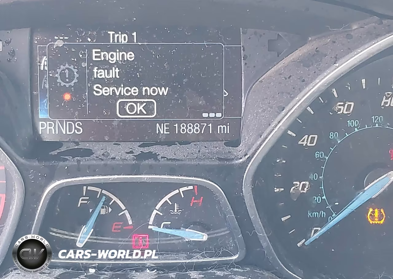 2014 Ford Focus Titanium VIN:1FADP3N25EL136497 - 15