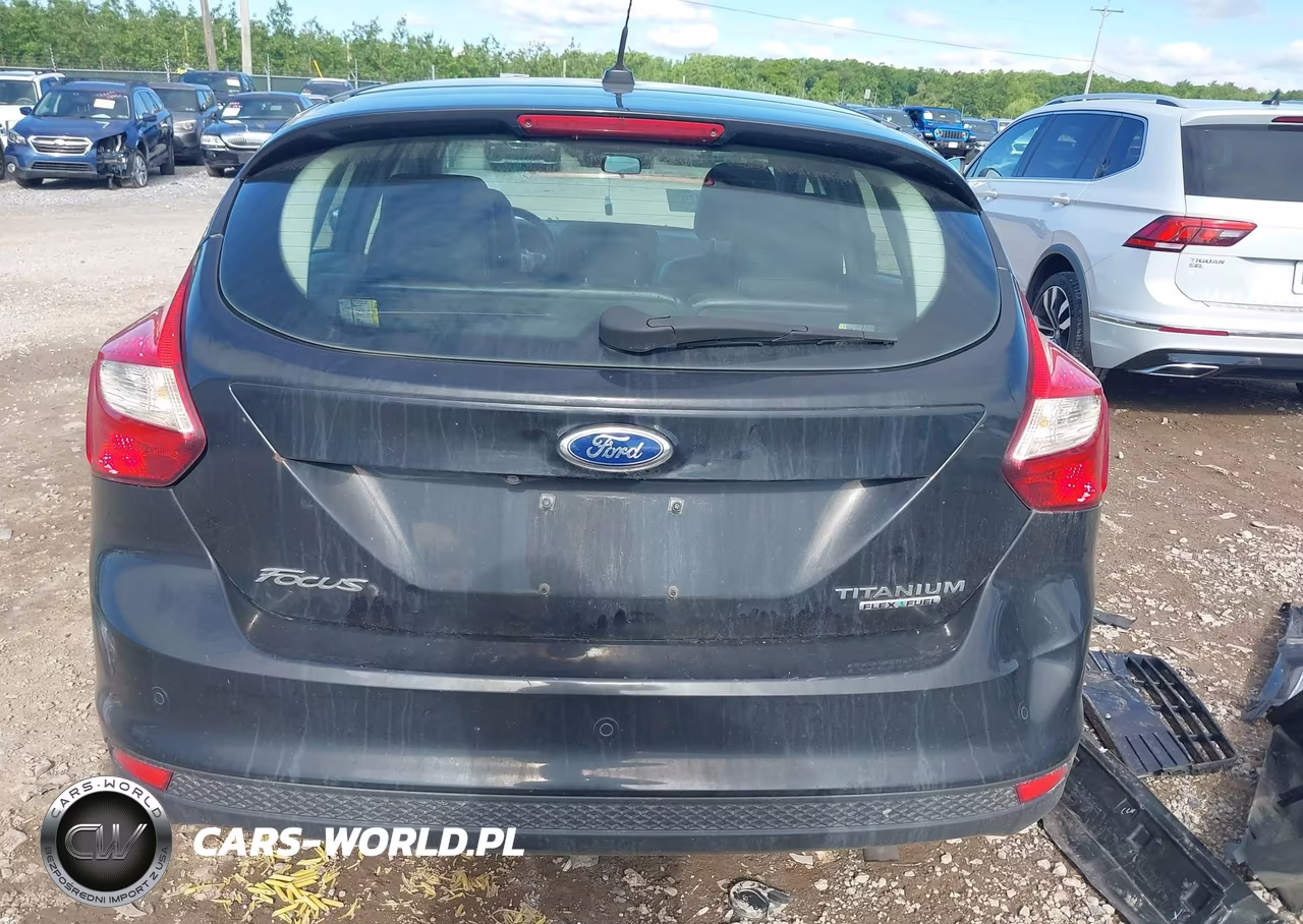 2014 Ford Focus Titanium VIN:1FADP3N25EL136497 - 16