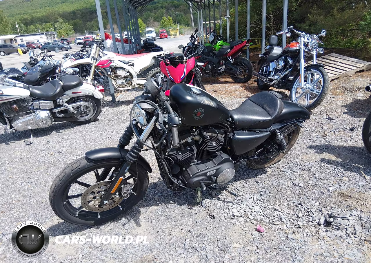 2020 Harley-Davidson Xl883 N VIN:1HD4LE216LB431347 - 2