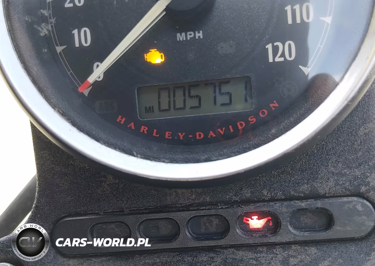 2020 Harley-Davidson Xl883 N VIN:1HD4LE216LB431347 - 7