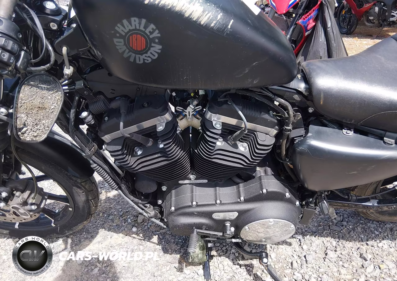 2020 Harley-Davidson Xl883 N VIN:1HD4LE216LB431347 - 9
