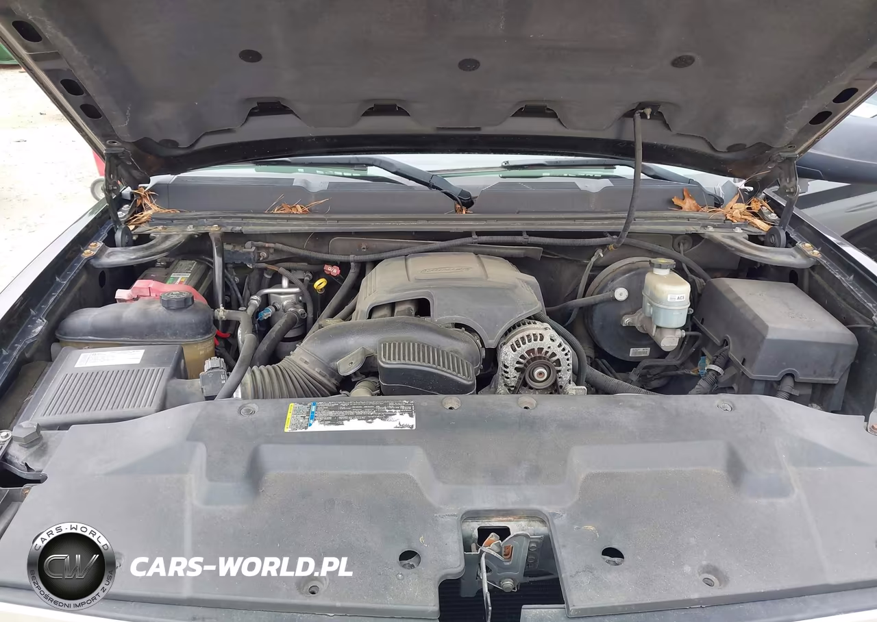 2009 Chevrolet Silverado 1500 Ls VIN:3GCEK13C29G157419 - 10
