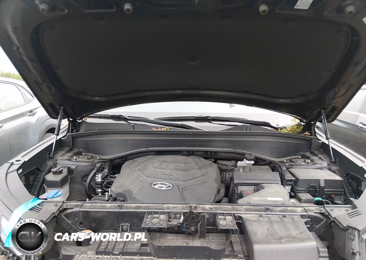 2024 Hyundai Palisade Calligraphy VIN:KM8R7DGE8RU709370 - 10