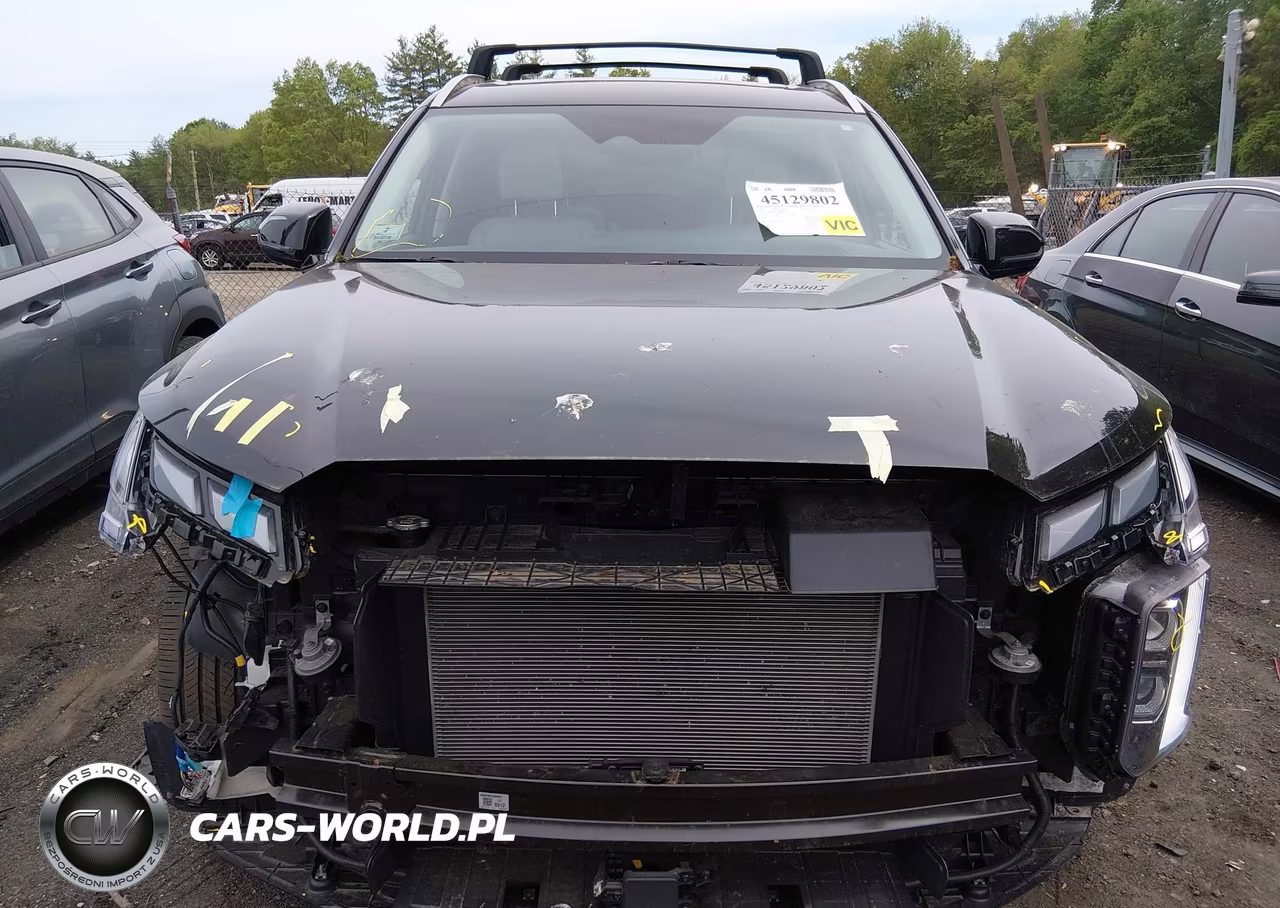 2024 Hyundai Palisade Calligraphy VIN:KM8R7DGE8RU709370 - 12