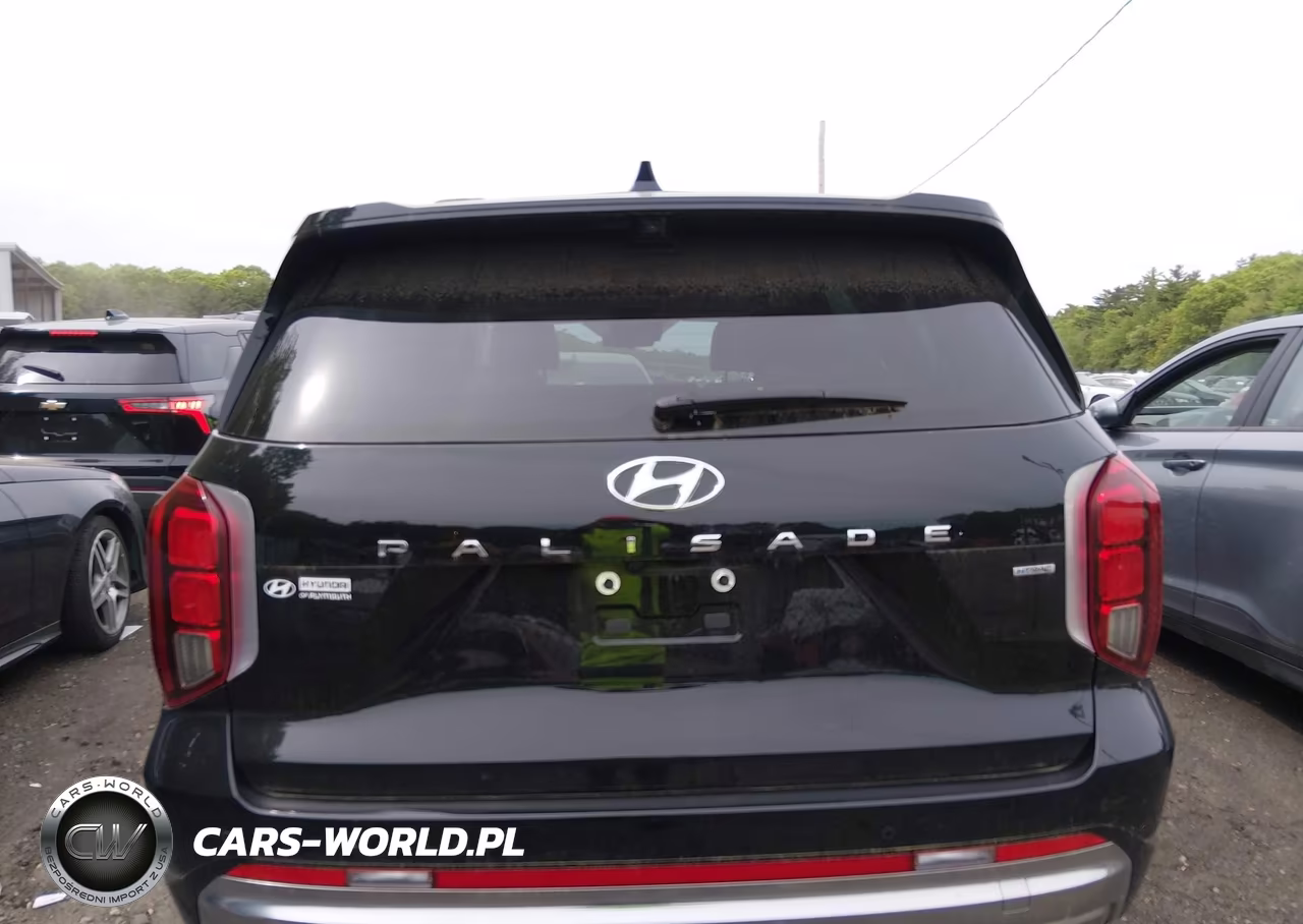 2024 Hyundai Palisade Calligraphy VIN:KM8R7DGE8RU709370 - 16