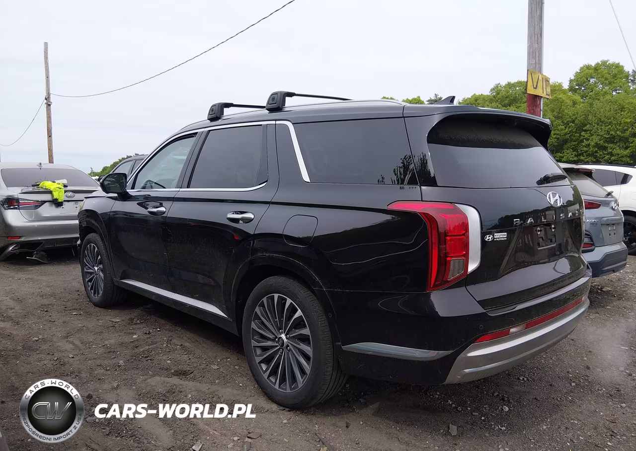 2024 Hyundai Palisade Calligraphy VIN:KM8R7DGE8RU709370 - 3