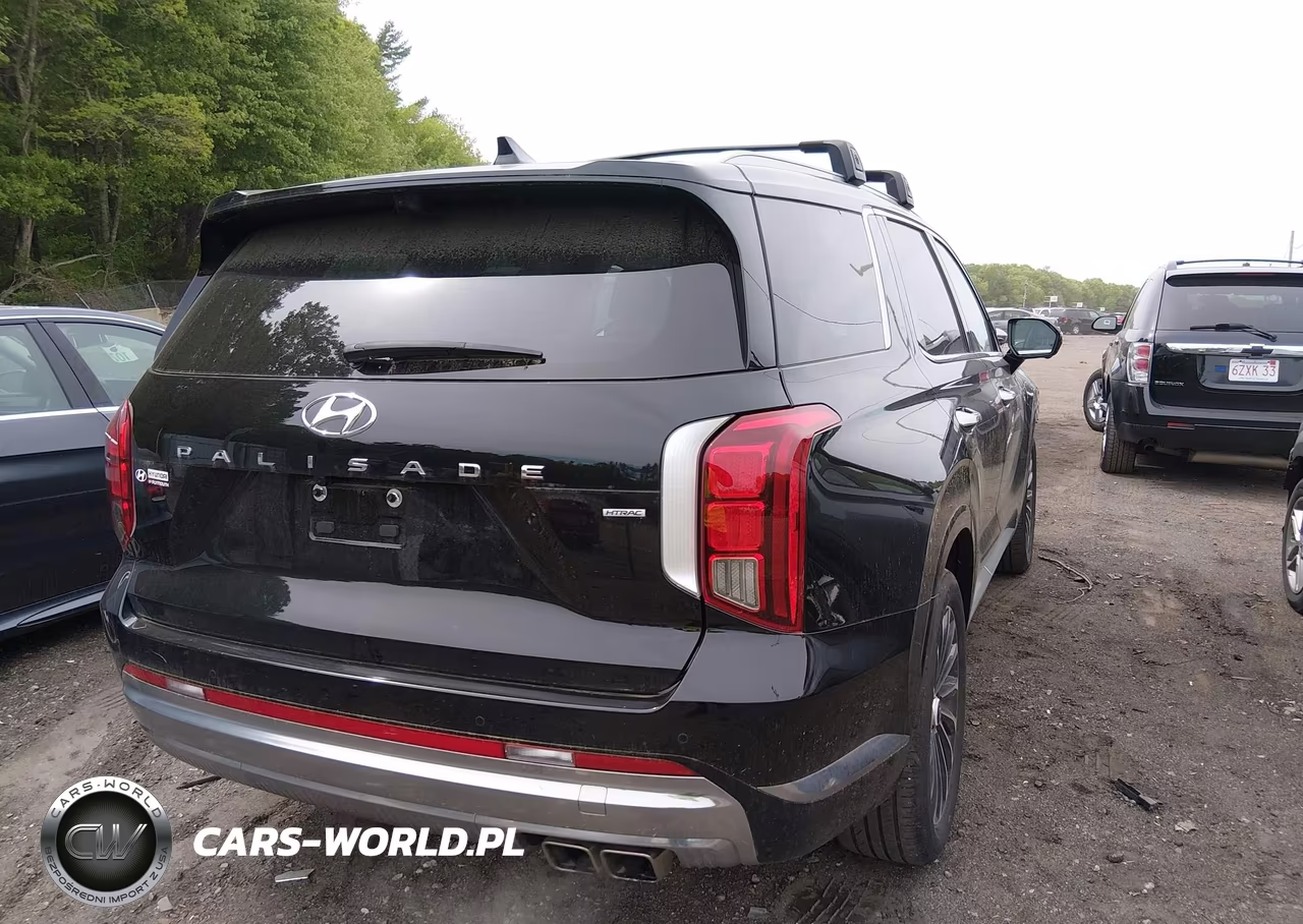 2024 Hyundai Palisade Calligraphy VIN:KM8R7DGE8RU709370 - 4
