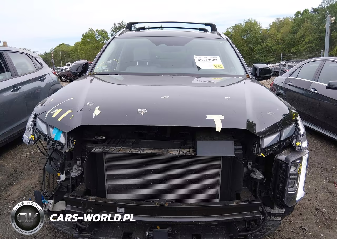 2024 Hyundai Palisade Calligraphy VIN:KM8R7DGE8RU709370 - 6