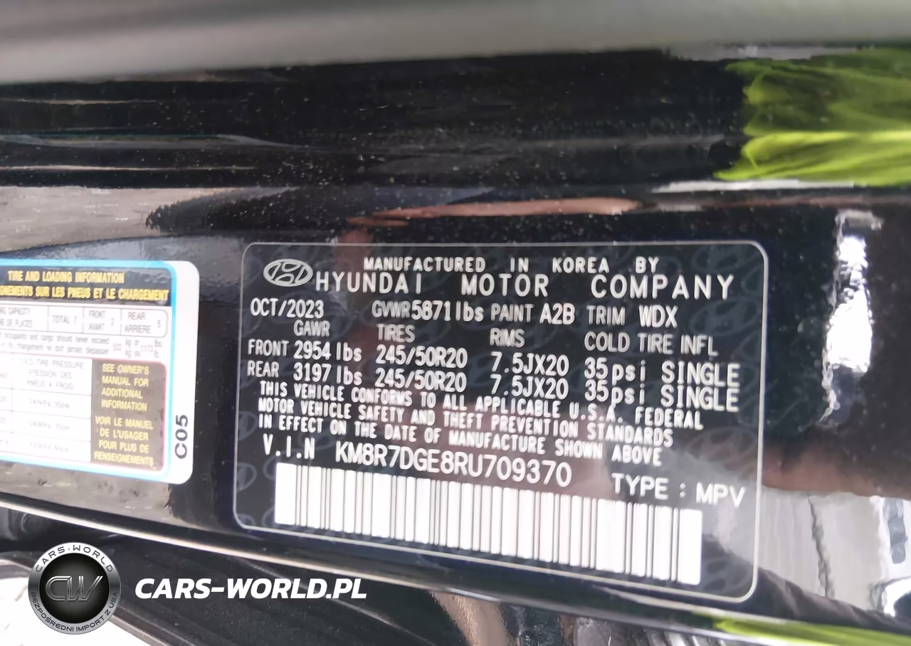 2024 Hyundai Palisade Calligraphy VIN:KM8R7DGE8RU709370 - 9