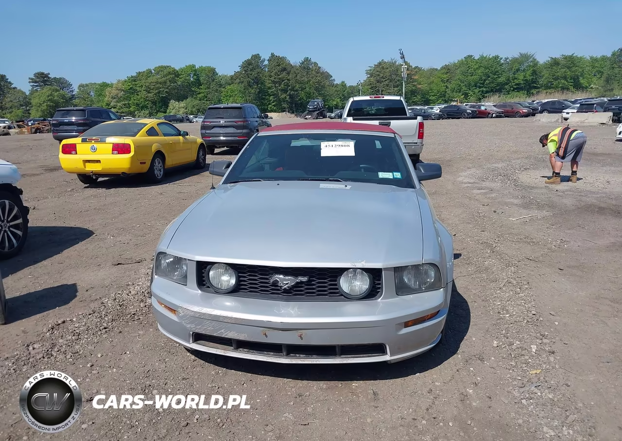 2005 Ford Mustang Gt VIN:1ZVFT85H955210148 - 12