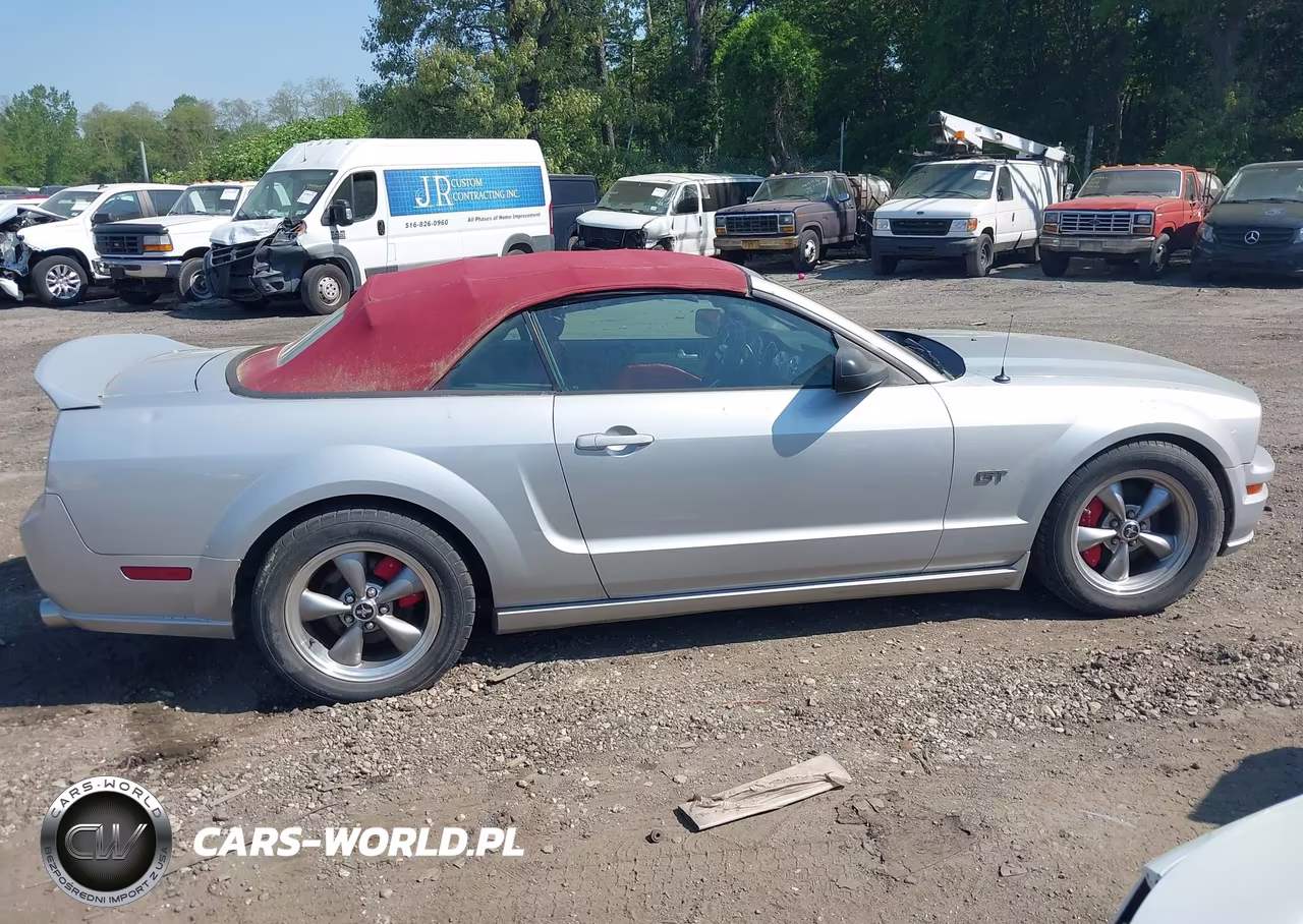 2005 Ford Mustang Gt VIN:1ZVFT85H955210148 - 13