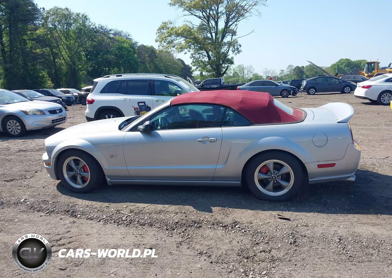 2005 Ford Mustang Gt VIN:1ZVFT85H955210148 - 14