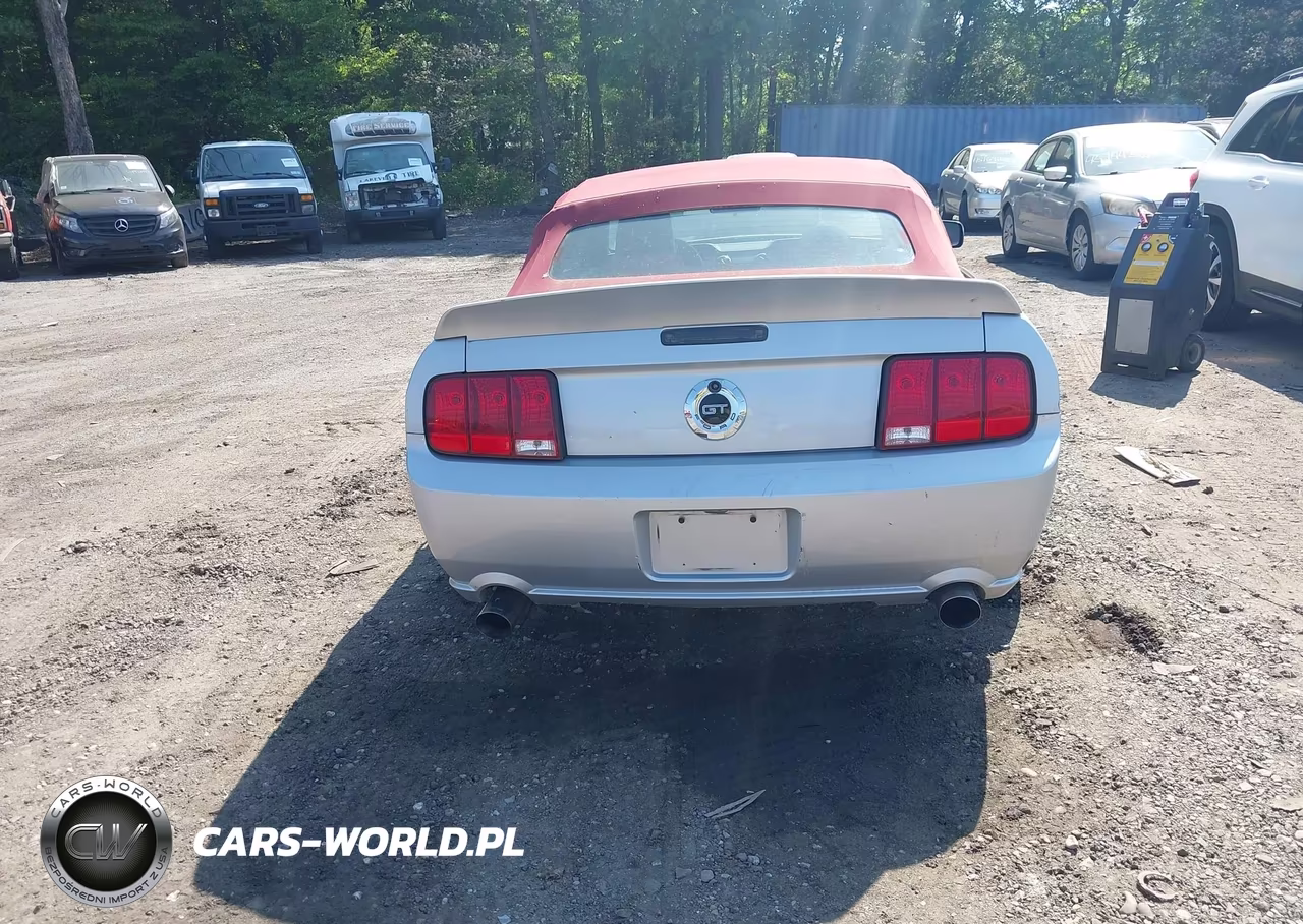 2005 Ford Mustang Gt VIN:1ZVFT85H955210148 - 16