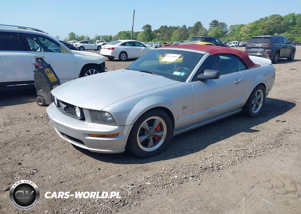2005 Ford Mustang Gt VIN:1ZVFT85H955210148 - 2