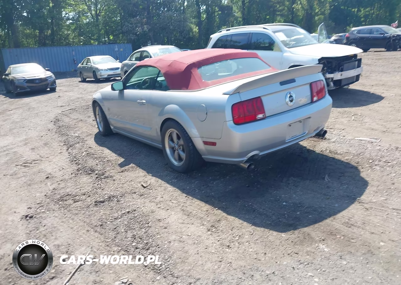 2005 Ford Mustang Gt VIN:1ZVFT85H955210148 - 3