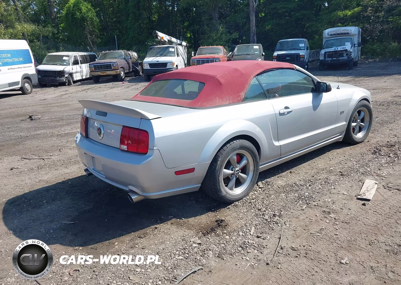 2005 Ford Mustang Gt VIN:1ZVFT85H955210148 - 4