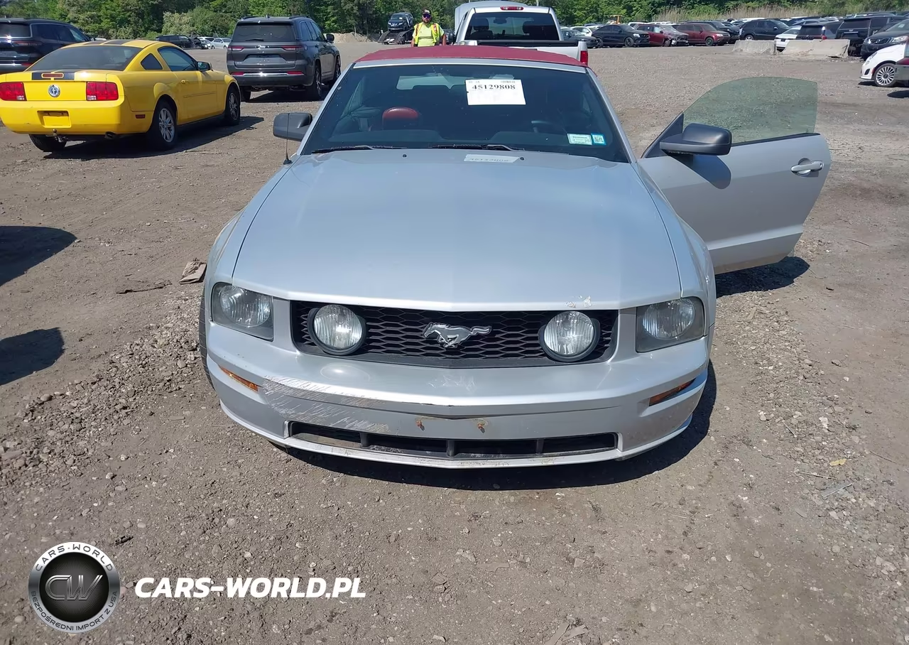 2005 Ford Mustang Gt VIN:1ZVFT85H955210148 - 6