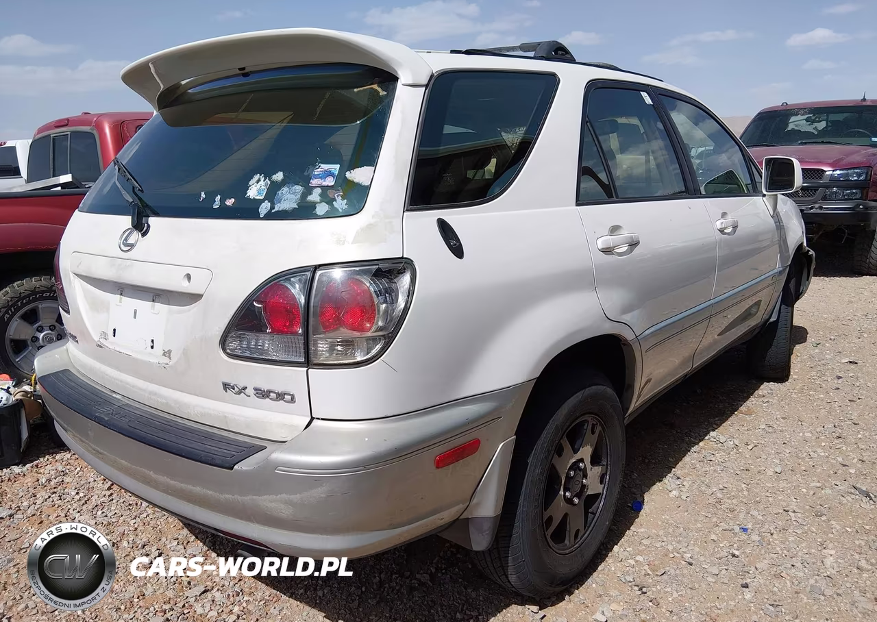 2001 Lexus Rx 300 VIN:JTJGF10U410111025 - 4