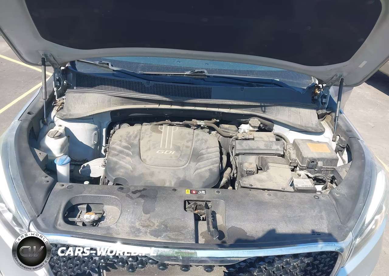 2016 Kia Sorento 3.3L Ex VIN:5XYPHDA57GG146473 - 10