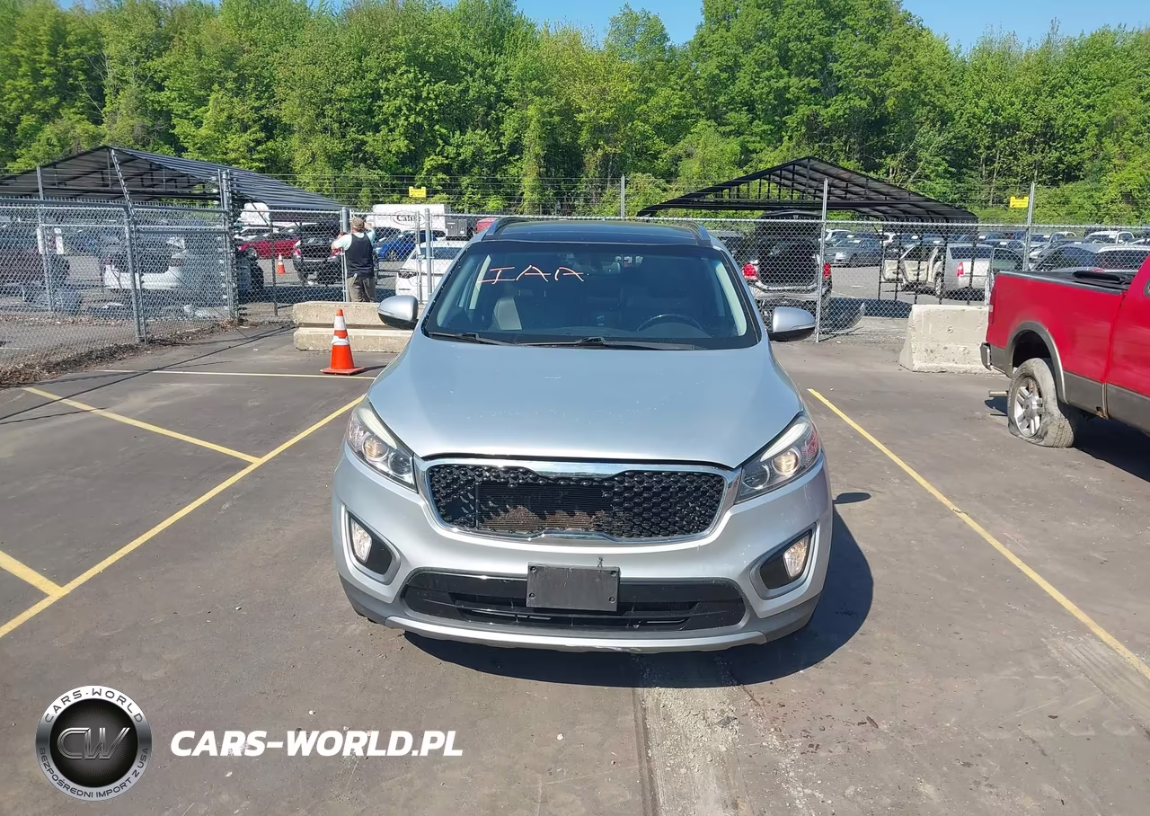 2016 Kia Sorento 3.3L Ex VIN:5XYPHDA57GG146473 - 12