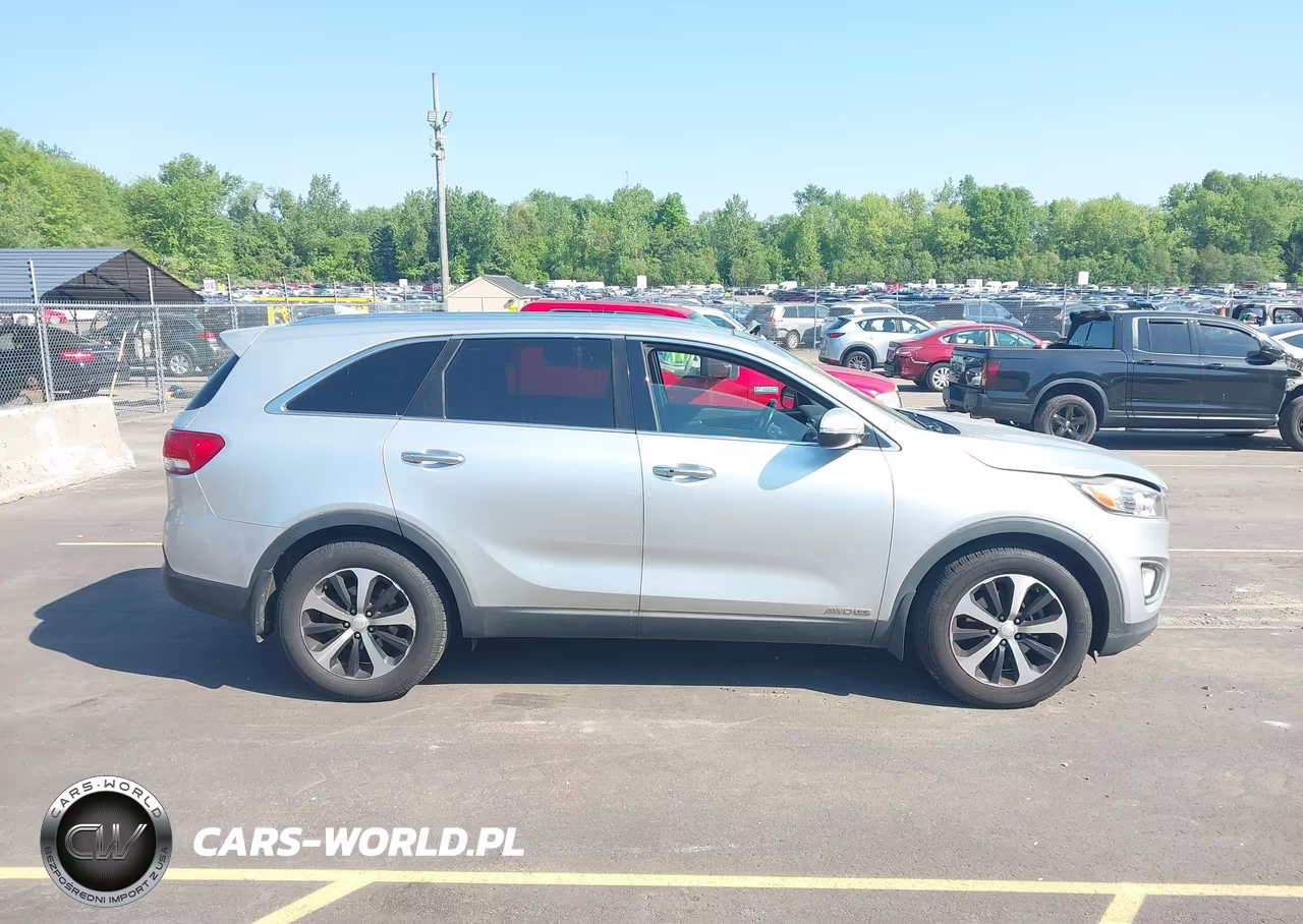 2016 Kia Sorento 3.3L Ex VIN:5XYPHDA57GG146473 - 13