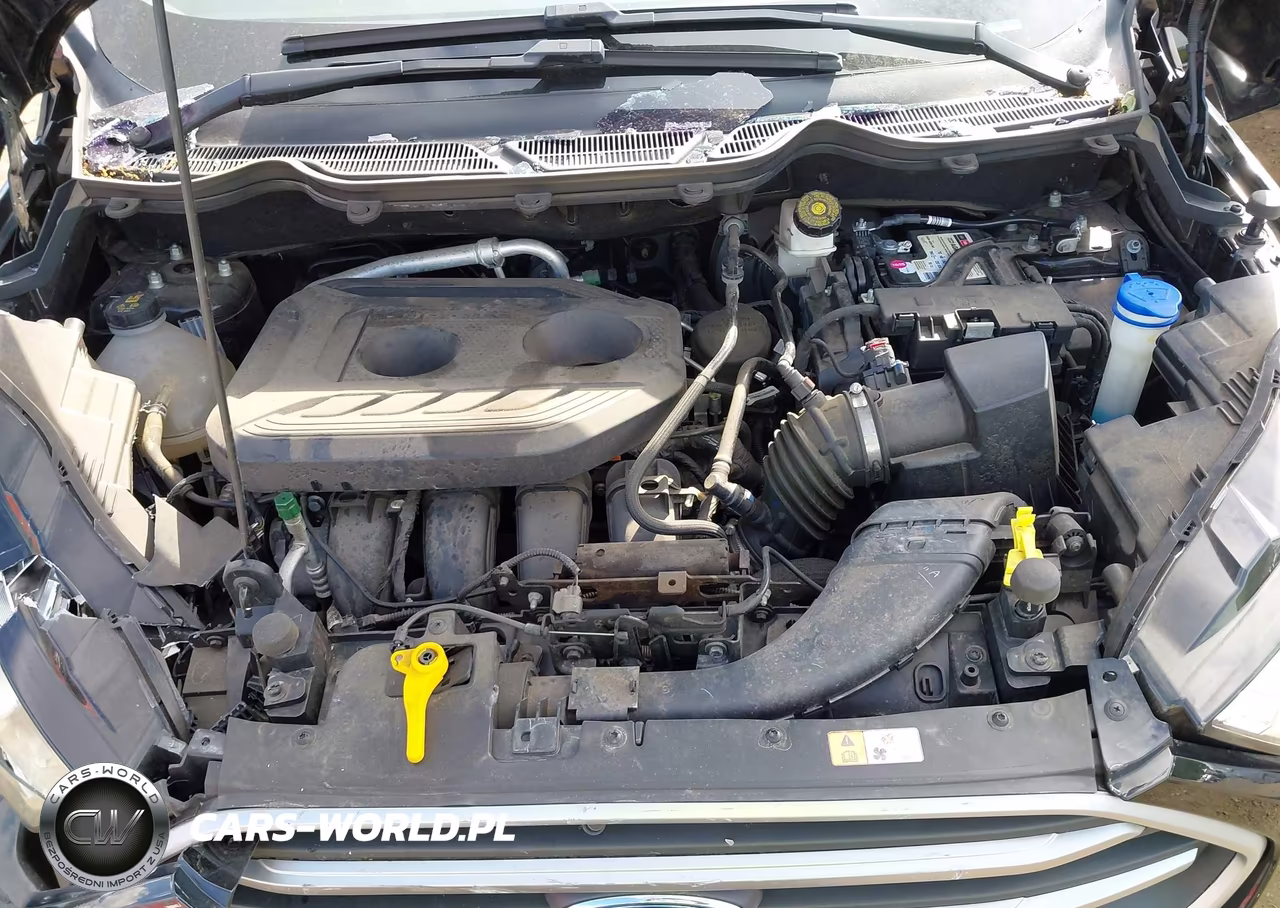 2020 Ford Ecosport Se VIN:MAJ6S3GL7LC325663 - 10