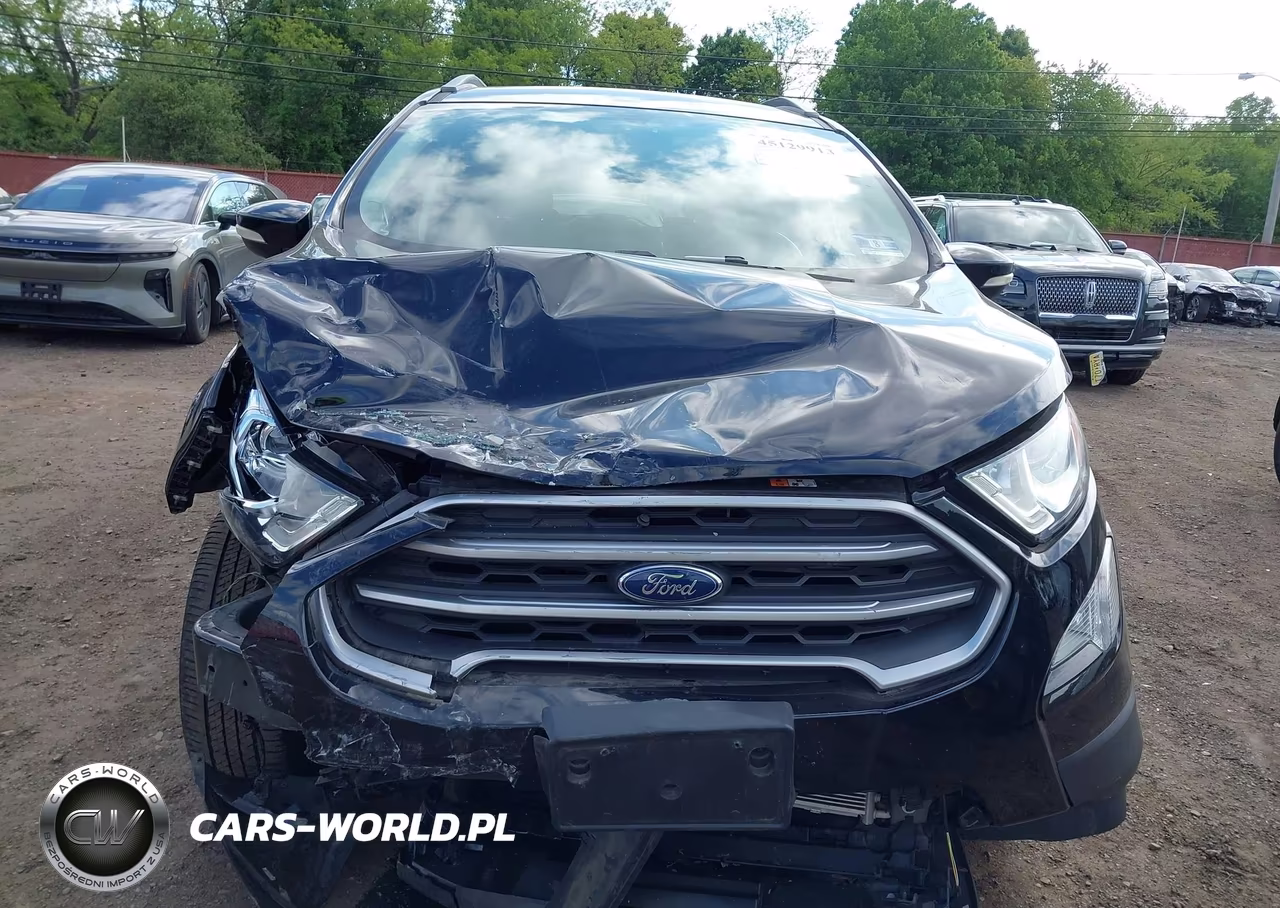 2020 Ford Ecosport Se VIN:MAJ6S3GL7LC325663 - 12