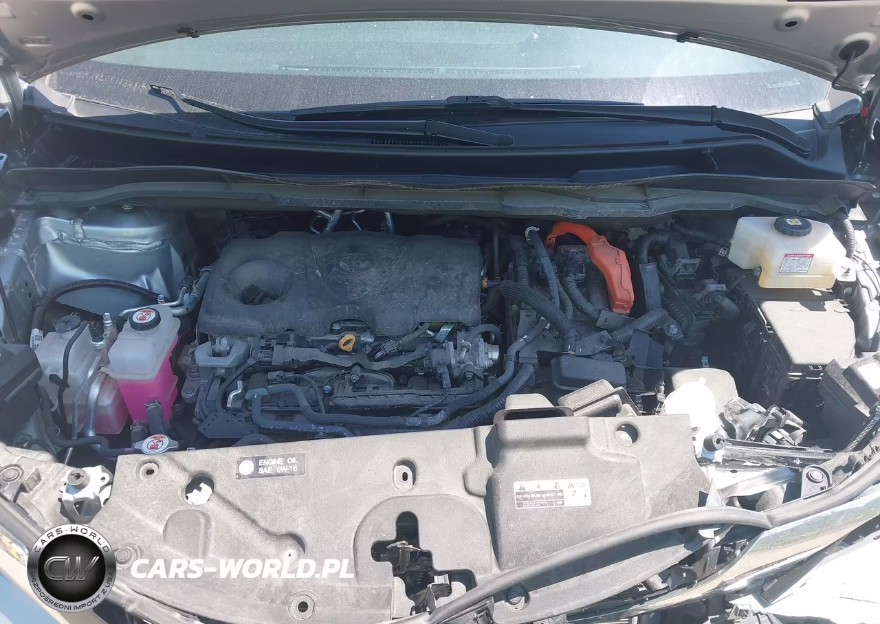 2024 Toyota Sienna Xle VIN:5TDJSKFC8RS147074 - 10