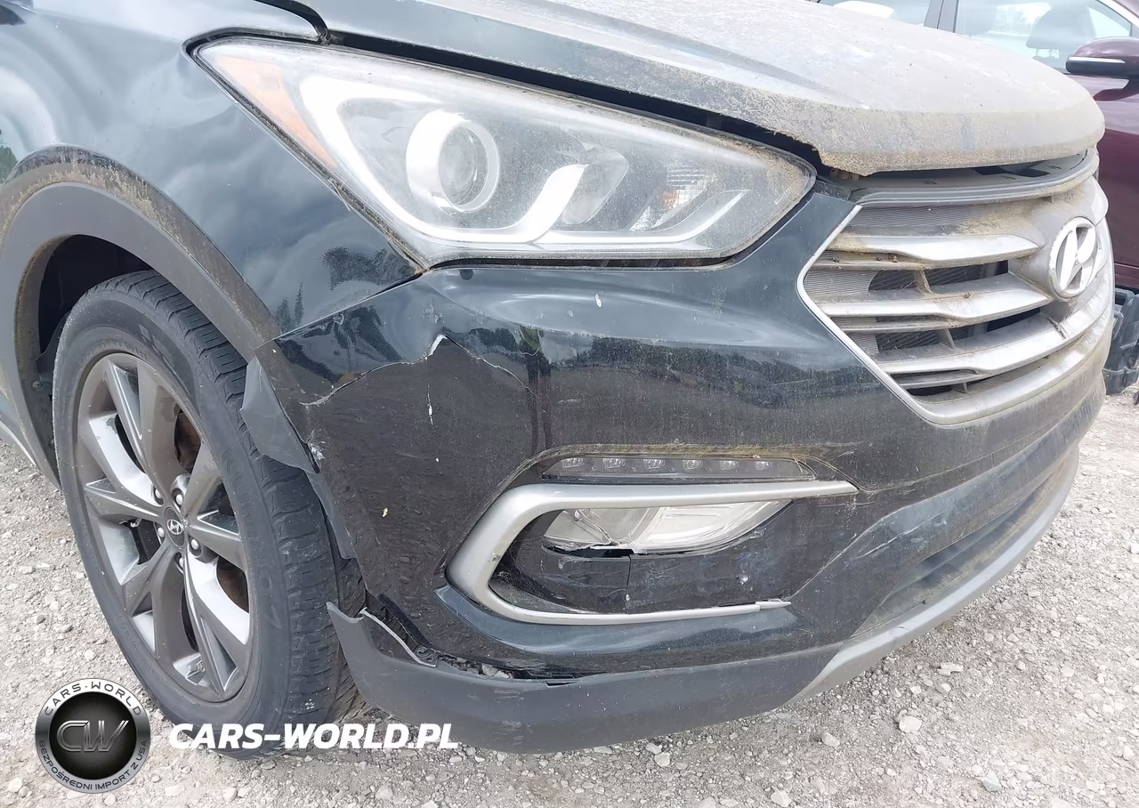 2017 Hyundai Santa Fe Sport 2.0T Ultimate VIN:5XYZWDLA5HG489373 - 6