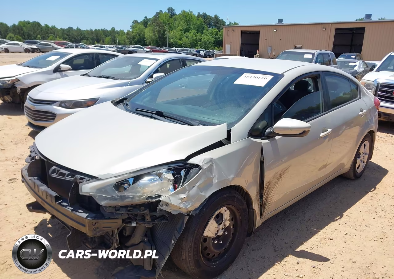 2015 Kia Forte Lx VIN:KNAFK4A64F5295823 - 2
