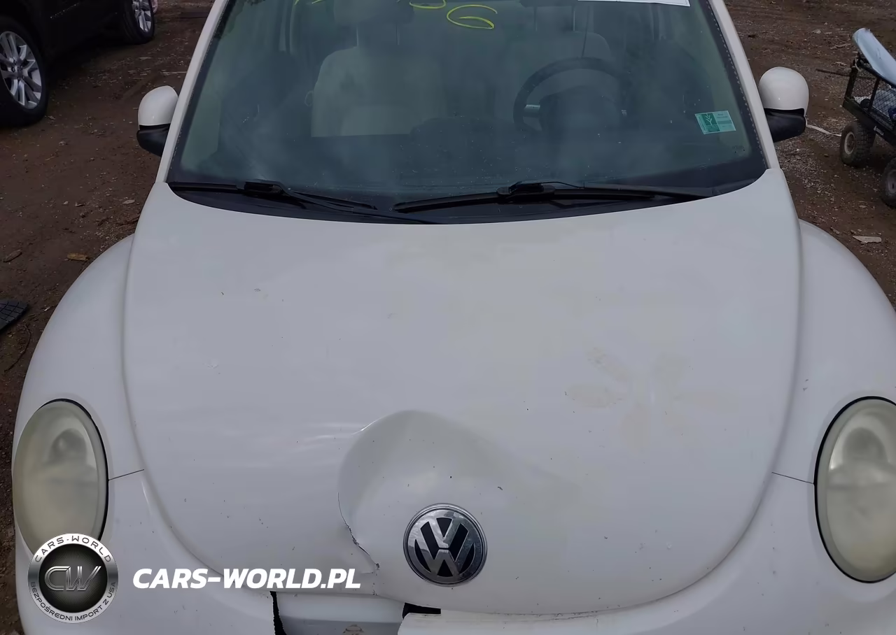 2003 Volkswagen New Beetle Gls 2.0L VIN:3VWCK21C83M404108 - 10