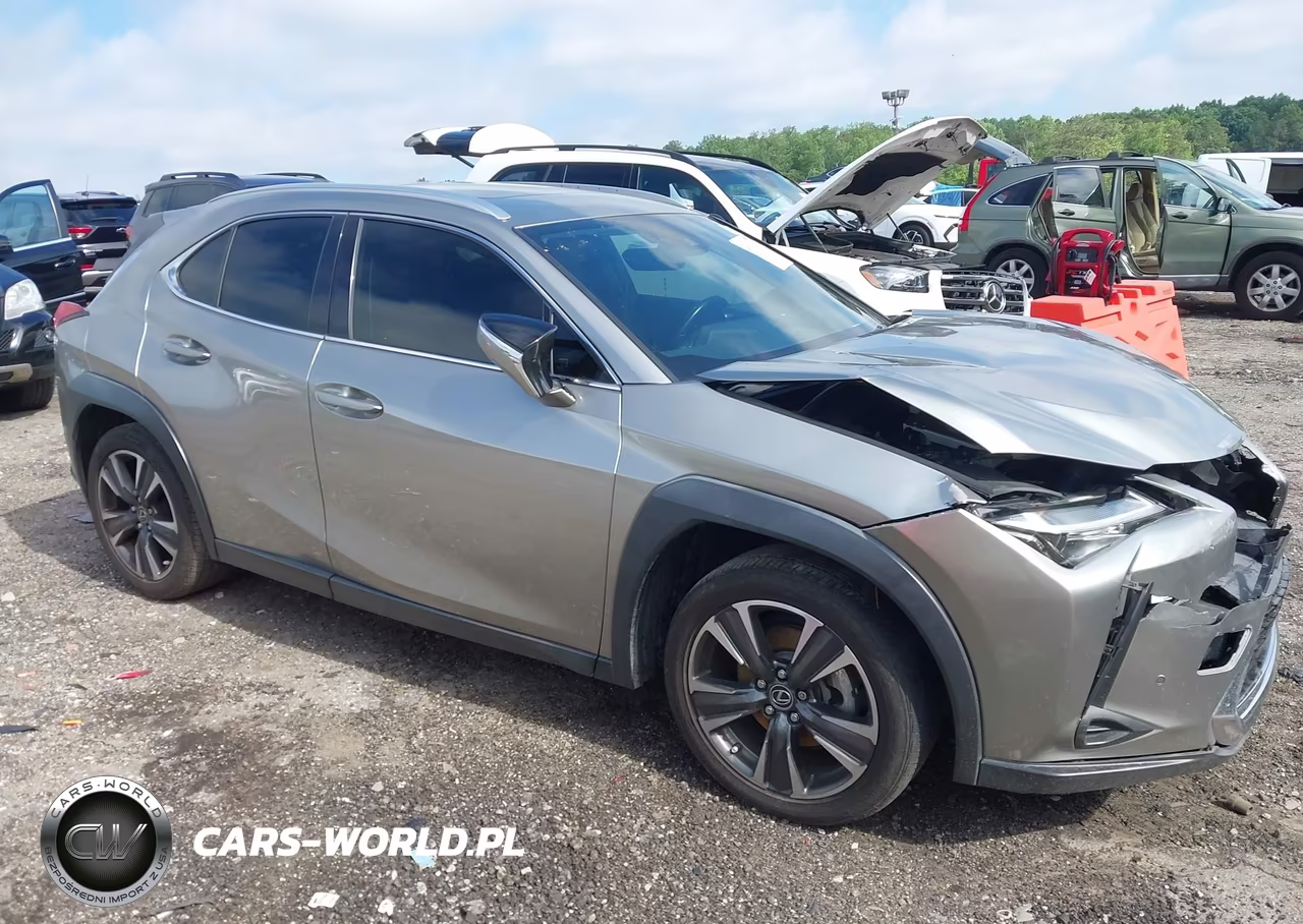 2019 Lexus Ux 200