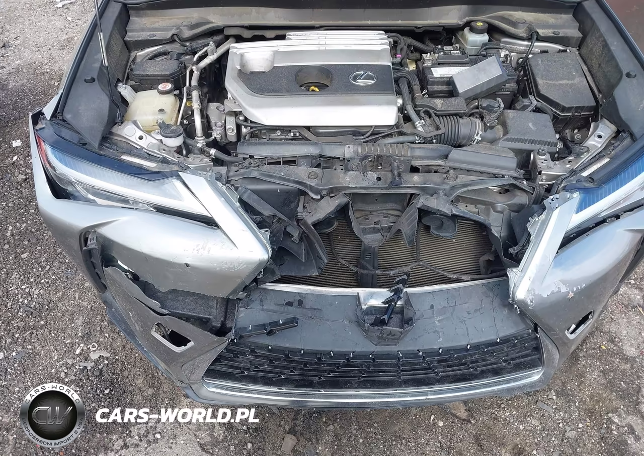 2019 Lexus Ux 200 VIN:JTHY3JBHXK2007997 - 10