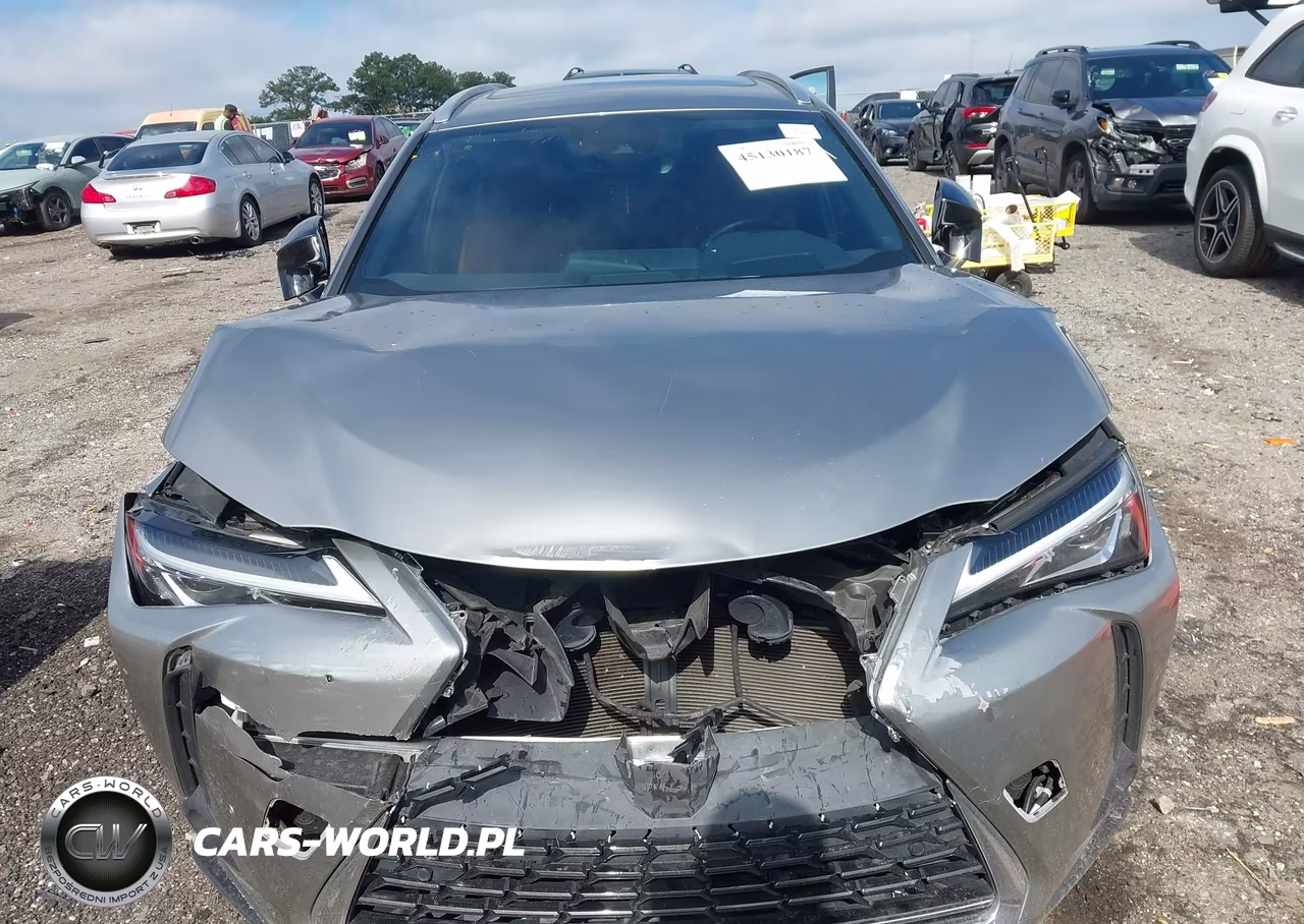 2019 Lexus Ux 200 VIN:JTHY3JBHXK2007997 - 6