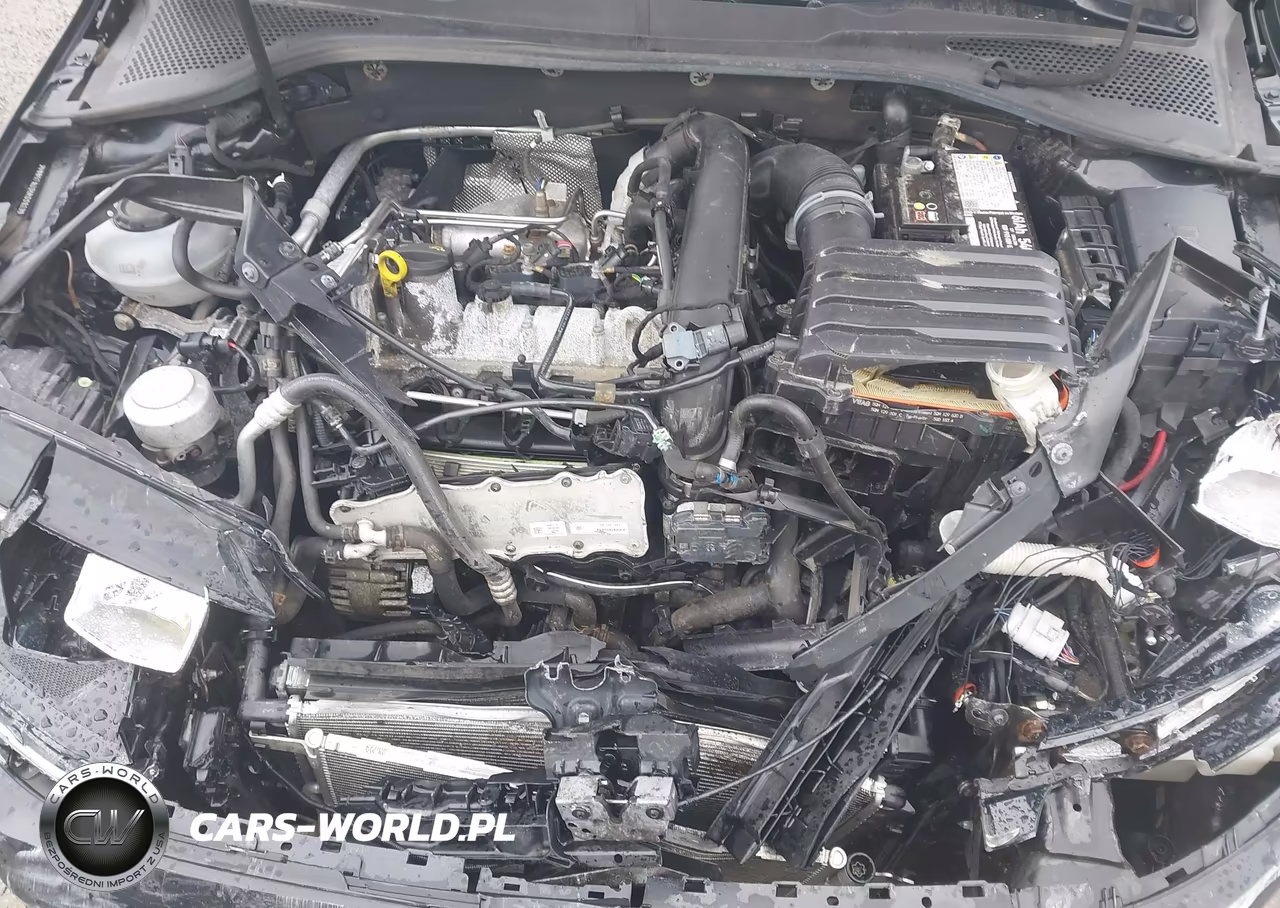 2019 Volkswagen Golf 1.4T S-1.4T Se VIN:3VWW57AU3KM006233 - 10