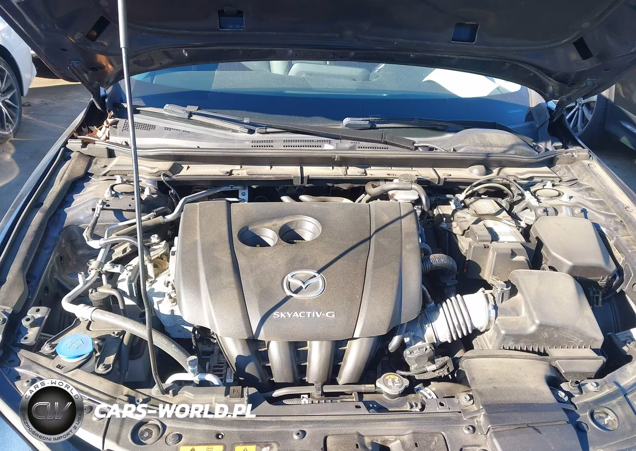 2019 Mazda Mazda3 Preferred Package VIN:3MZBPADL5KM113423 - 10