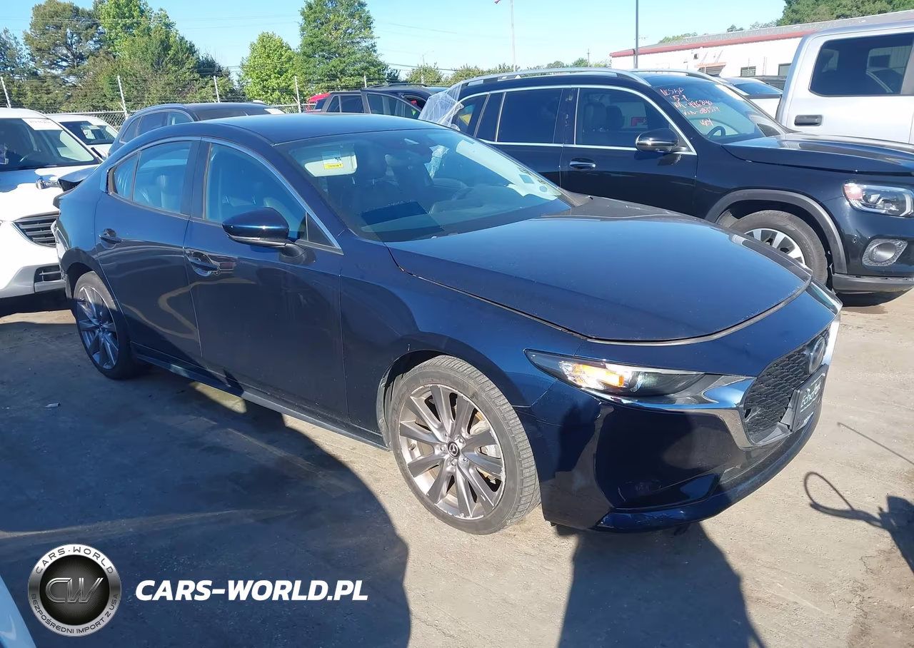2019 Mazda Mazda3 Preferred Package VIN:3MZBPADL5KM113423 - 13